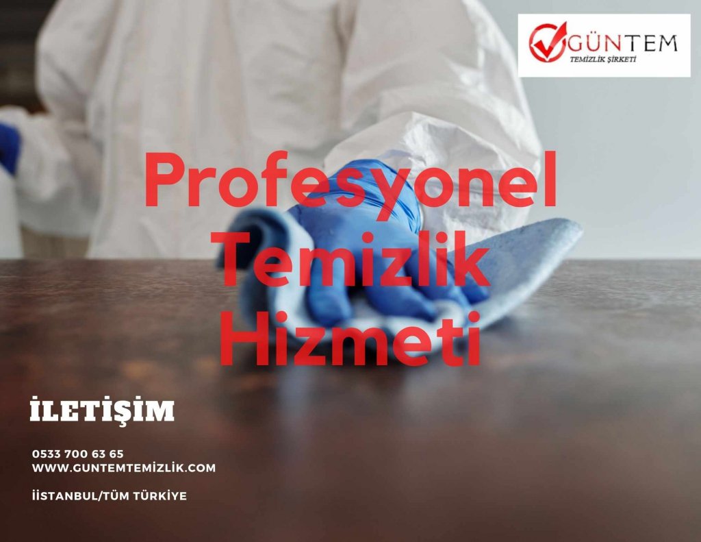 profesyonel-temizlik-hizmeti